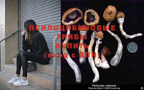 метадон Арсеньев