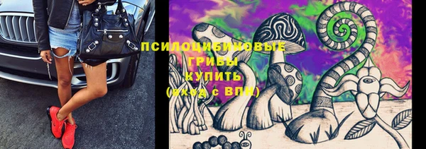 метадон Арсеньев