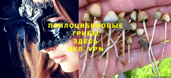 мескалин Аркадак